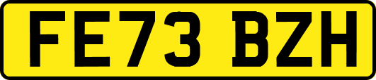 FE73BZH