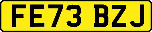 FE73BZJ
