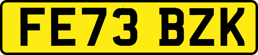 FE73BZK