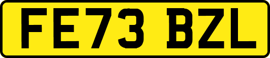 FE73BZL