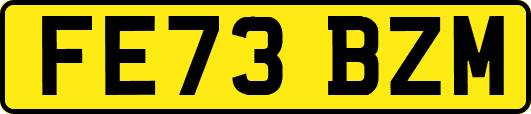 FE73BZM