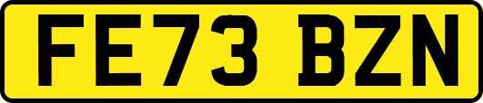 FE73BZN