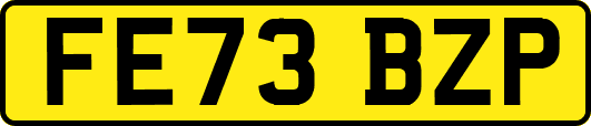 FE73BZP