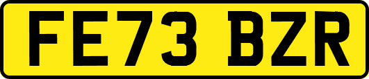 FE73BZR