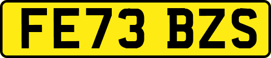 FE73BZS