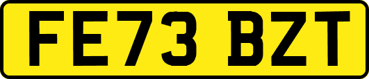 FE73BZT