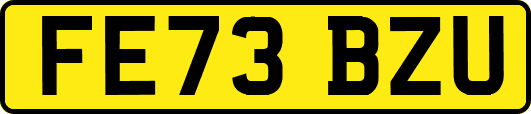 FE73BZU