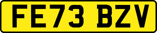 FE73BZV