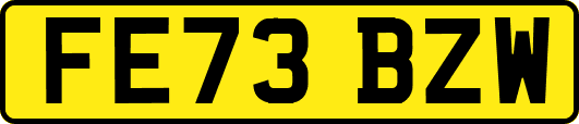 FE73BZW