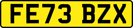 FE73BZX