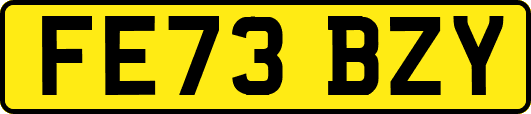 FE73BZY