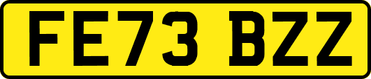 FE73BZZ