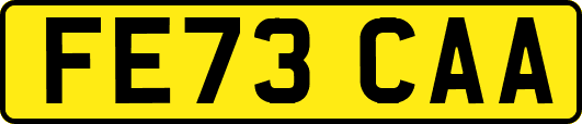 FE73CAA