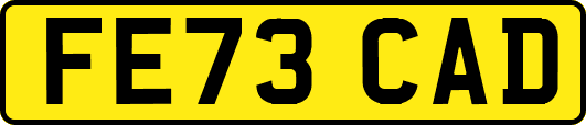 FE73CAD