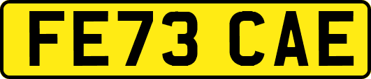 FE73CAE