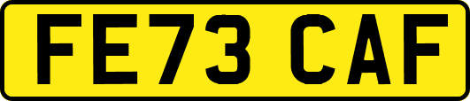 FE73CAF