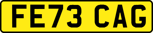 FE73CAG