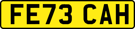 FE73CAH