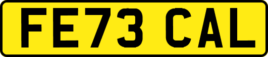 FE73CAL