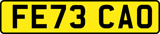 FE73CAO