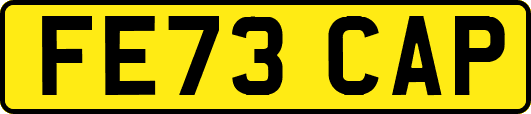 FE73CAP