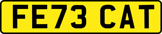 FE73CAT