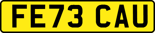FE73CAU