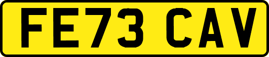 FE73CAV