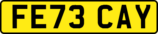FE73CAY
