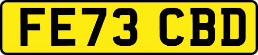 FE73CBD
