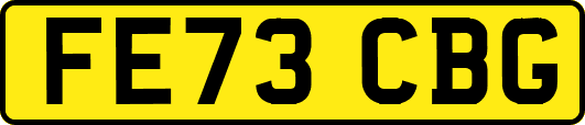 FE73CBG
