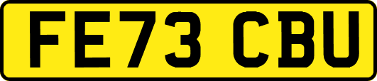 FE73CBU