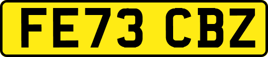 FE73CBZ