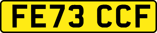 FE73CCF