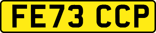 FE73CCP