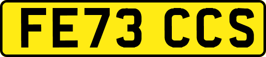 FE73CCS
