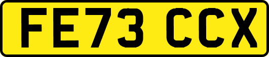 FE73CCX
