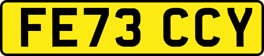 FE73CCY