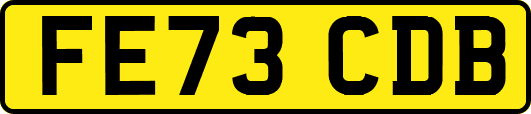 FE73CDB