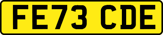 FE73CDE