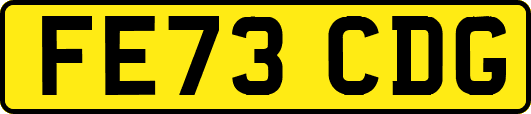 FE73CDG