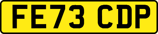 FE73CDP
