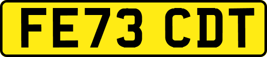 FE73CDT