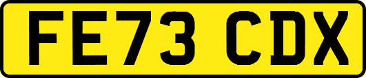 FE73CDX