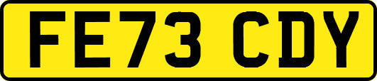 FE73CDY