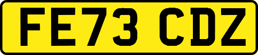 FE73CDZ