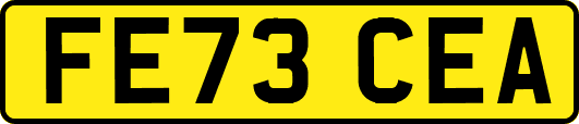 FE73CEA