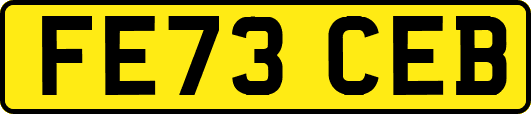 FE73CEB