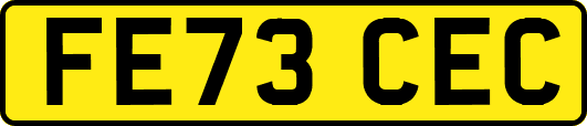 FE73CEC