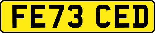 FE73CED